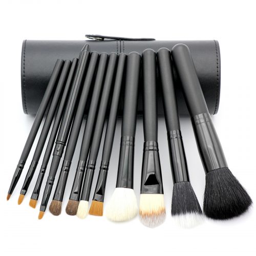 #SKN102 12 pieces Professional Makeup Brush Kit